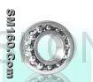 Self Aligning Ball Bearing