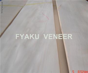 White Birch Veneer