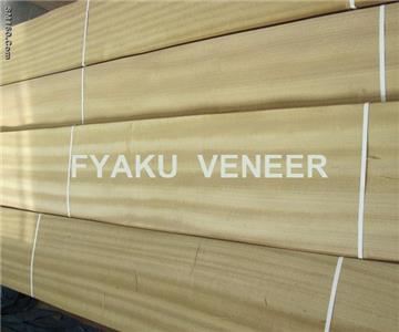 Golden Teak Veneer