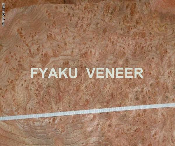 Elm Burl Veneer
