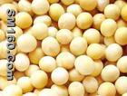Soybean Extract
