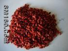 Wolfberry  extract