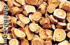 Astragalus extract