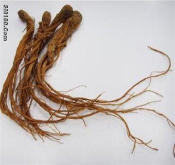 Angelica extract