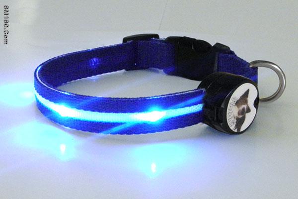led flashing pet product for dog collar