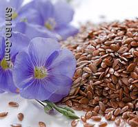 Flax Seed Extract