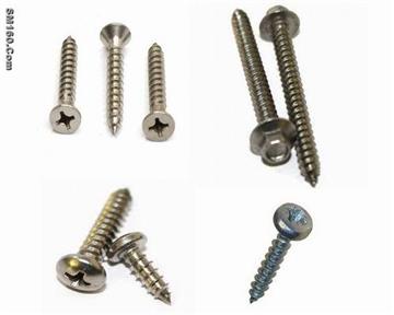 Self Tapping Screw 