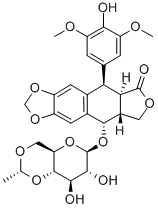 Etoposide 