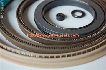 PTFE Spring Seal