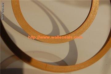 PTFE gasket