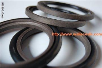 Step Seal(Rod seal)