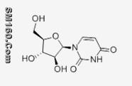 Spongouridine 