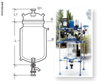 Glass Reactor