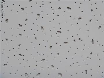 mineral fiber ceiling board