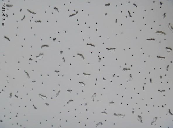  Sound absorption ceiling insulation