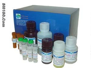 Ferulic acid