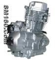 Motorcycle Parts-engine