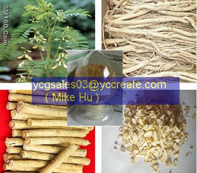 Astragalus P.E.
