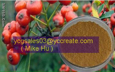 Hawthorn Fruit P.E.