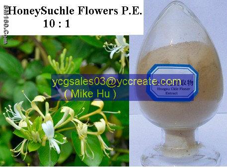 HoneySuchle Flowers Extract (chlorogenic acid, CGA)