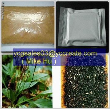 Semen Plantaginis P.E.
