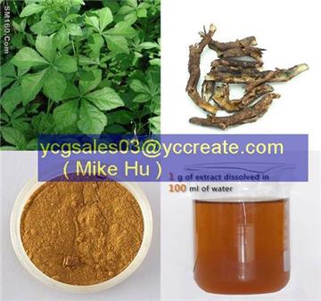 Siberian Ginseng P.E.