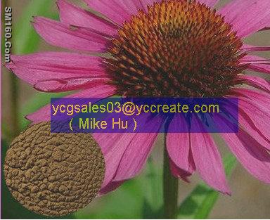 Echinacea Herb P.E.