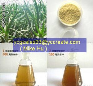 Aloe Extract / Aloe vera P.E.