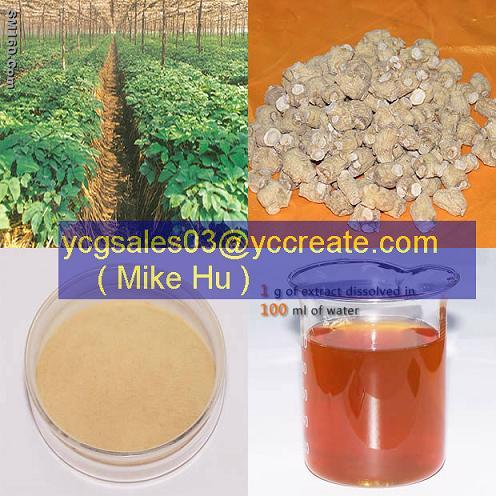 American Ginseng Root Extract, Ginsenosides