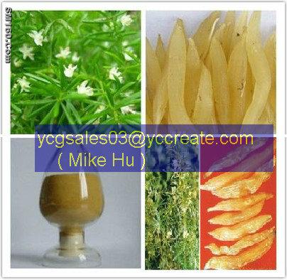 Asparagus Root Extract