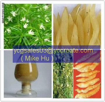 Asparagus Root Extract