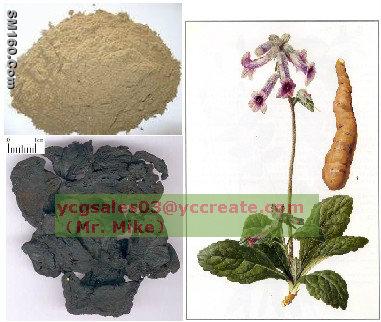Prepared rehmannia root extract