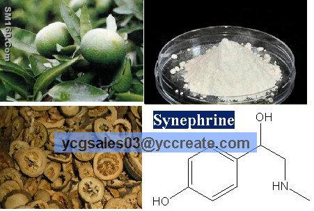 Synephrine 98%, natural extract