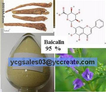 Baicalin 95%, natural extract