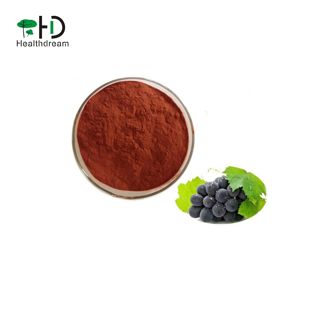 Factory sell Natural Organic  Grape Seed Extract Powder plant extract