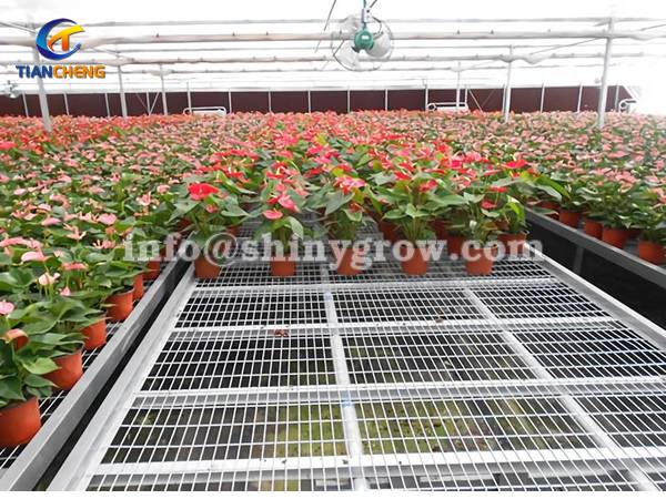 Stationary Metal Greenhouse Benches for Commercial Nursery