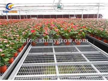 Stationary Metal Greenhouse Benches for Commercial Nursery