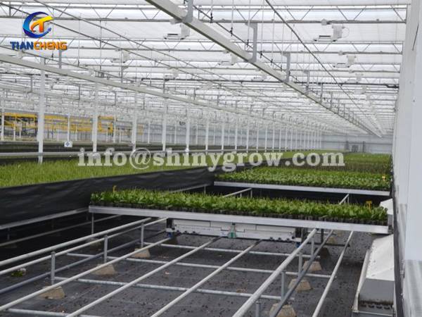 Shuttle Rolling Bench System - Greenhouse Automation Solution