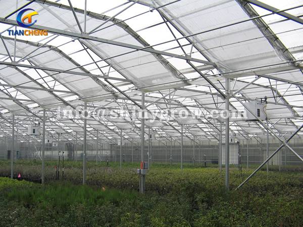 Greenhouse Insect Screen for High Planting Percent &amp; Seedling Quality