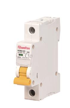Fchampion HGB2-63 Miniature Circuit Breaker