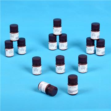 Hot sale of Desheng NSP-DMAE-NHS acridinium products