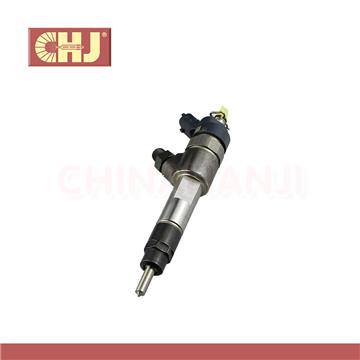 Common rail injector0 445 110 060
