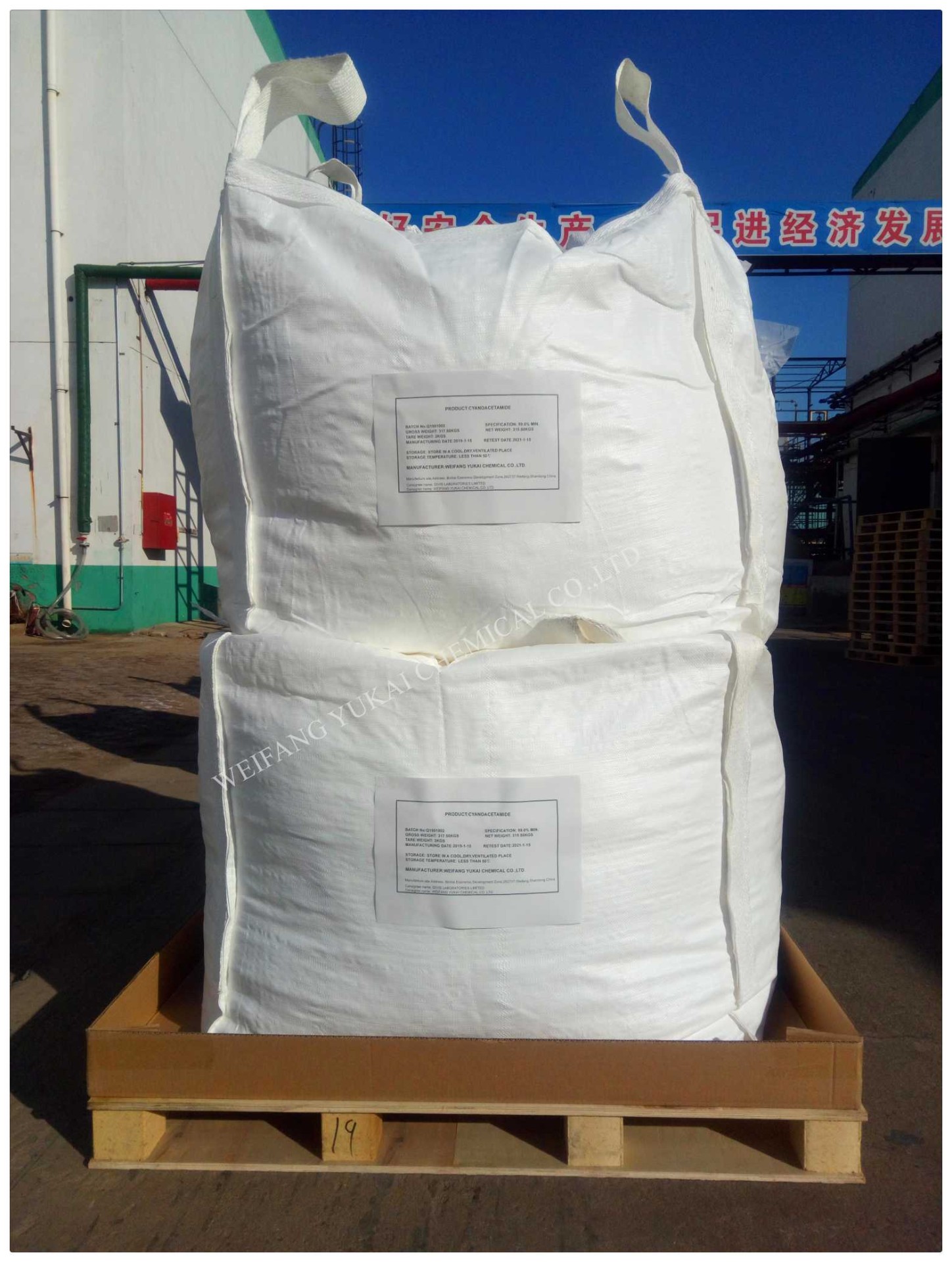 2-Cyanoacetamide