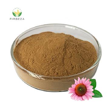 Organic Echinacea Purpurea Extract 1% - 4% Cichoric Acid Powder