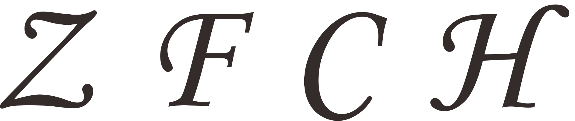 Quanzhou Zhongfu Canhong Electronic Technology Co., Ltd